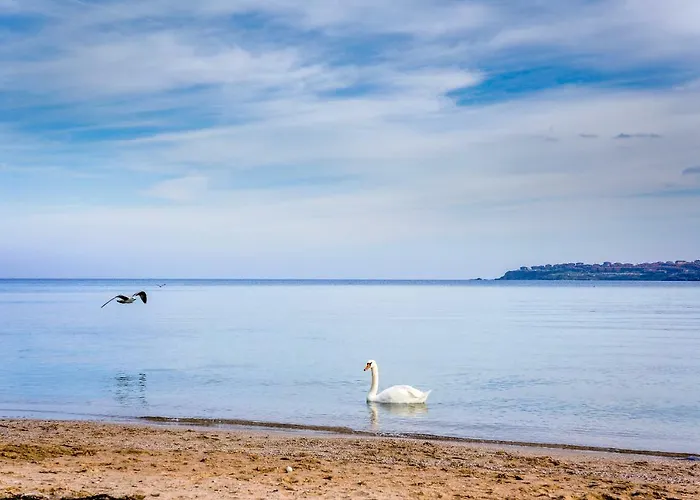 Karamihalevi Pensiune Sozopol